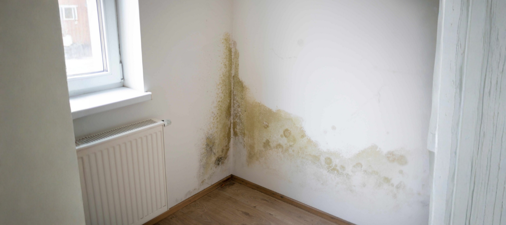 Çatı İzolasyonu - Profesyonel Çatı Yalıtım Hizmeti